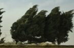 افزایش وزش باد طی روزهای آینده در تهران