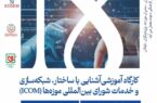 کارگاه تخصصی آشنایی با ساختار و شبکه‌سازی ایکوم در موزه ملی انقلاب اسلامی و دفاع مقدس برگزار می‌شود