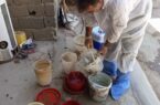 واکسیناسیون رایگان ۳۰۰ هزار قطعه طیور بومی در ۱۶ شهرستان تهران/ کاهش ریسک نیوکاسل از روستاها تا مرغداریهای صنعت