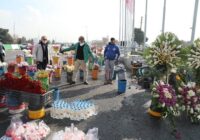 جمعآوری گلفروشان اطراف بهشت زهرا(س) تهران