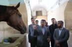 همکاری مشترک برای بهسازی و نوسازی مجموعه چوگان در منطقه۱۳ 
